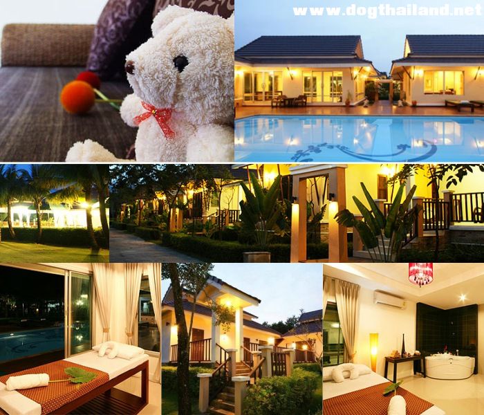 นครนายก "เดอะ ฟอเรสต์ โฮม รีสอร์ท (The Forest Home Resort) " รีสอร์ทสุนัขพักได้