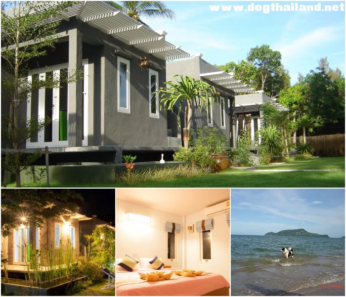 บ้านพักคล้ายเพชร รีสอร์ท (Baanpak Khlaiphet Resort) สุนัขเข้าพักได้ สามร้อยยอด ประจวบฯ ไม่คิดค่าสุนัข