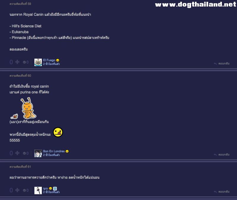 อาหารแมวหรืออาหารสุนัขลดน้ำหนักได้จริงหรือไม่ ? เมื่อมีสาวตั้งกระทู้ถามที่พันทิป