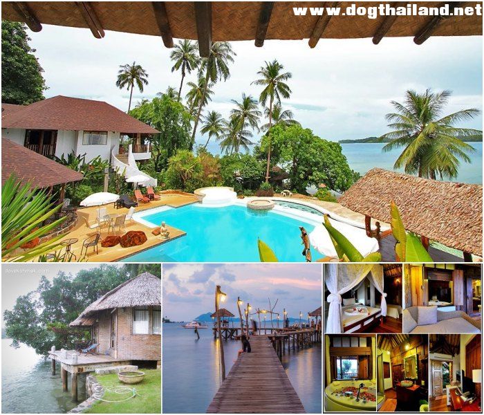 เกาะหมาก โคโคเคป รีสอร์ท (Koh Mak Cococape Resort) ตราด สุนัขเข้าพักได้