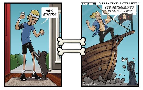 ภาพการ์ตูนจากมุมมองของน้องหมา ที่มองโลกใบนี้ที่ต่างจากเจ้านายโดยสิ้นเชิง