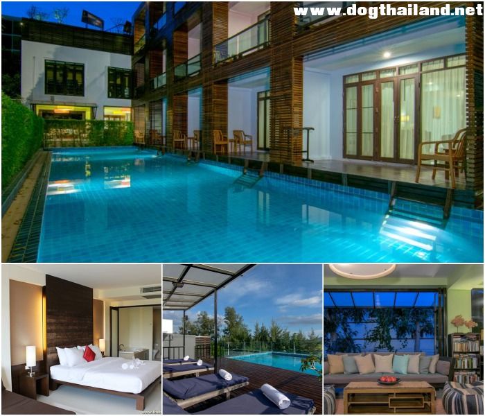 The Bihai Huahin Resort เดอะ ไบฮาย หัวหิน รีสอร์ท หัวหิน สุนัขพักได้ แต่สุนัขนอนกรงที่จัดไว้