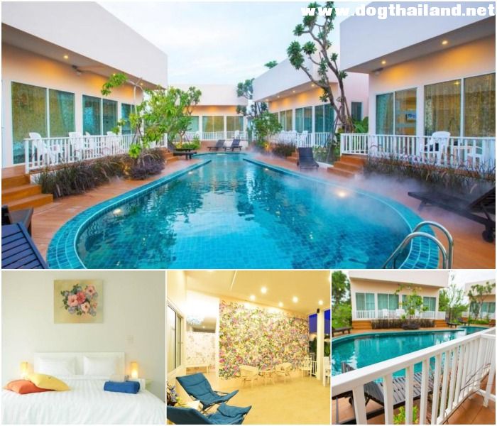 กบาลถมอ รีสอร์ท หัวหิน (Kabantamor Resort Huahin) สุนัขพักได้ หัวหิน ไม่คิดค่าน้องหมา
