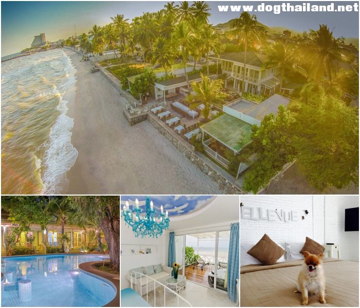 กรีนแกลอรี่ หัวหิน (Green Gallery Hua Hin) รีสอร์ท หัวหิน สุนัขพักได้ ติดชายหาดหัวหิน