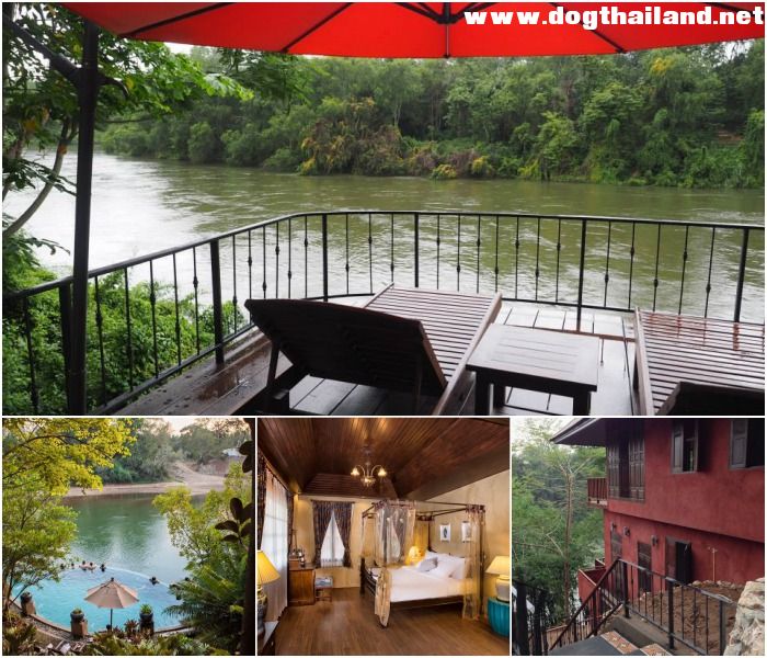 ทรีธารา รีสอร์ท  Tree Tara Resort  ห้องพักเห็นวิวแม่น้ำแควน้อย ไทรโยค สุนัขเข้าพักได้