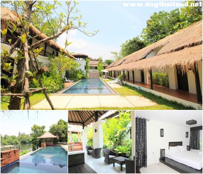 โรงแรมกาญจ์ปุระ (Kanpura Hotel) สุนัขพักได้ ในตัวเมือง กาญจนบุรี