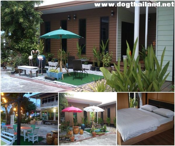 ยาหยี รีสอร์ท ( Yayee house ) บางแสน สุนัขพักได้ จังหวัดชลบุรี ราคาหลักร้อย