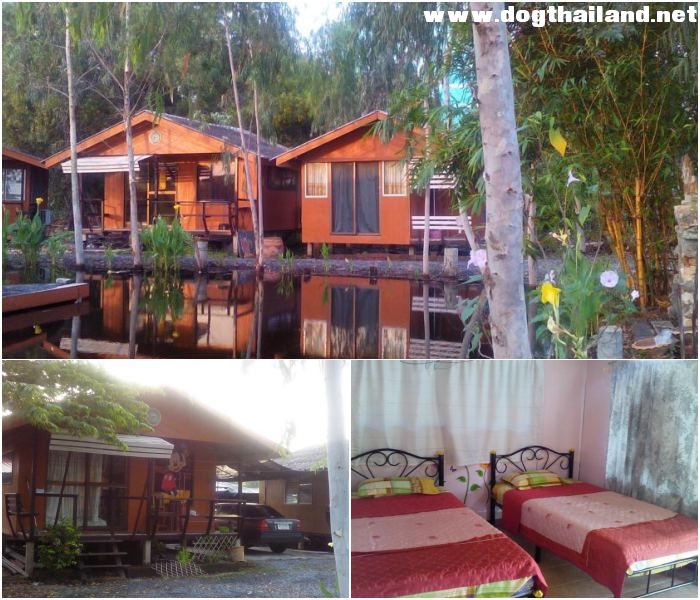 Ban Kun Lung Homestay รีสอร์ท ธัญญบุรี ปทุมธานี สุนัขพักได้