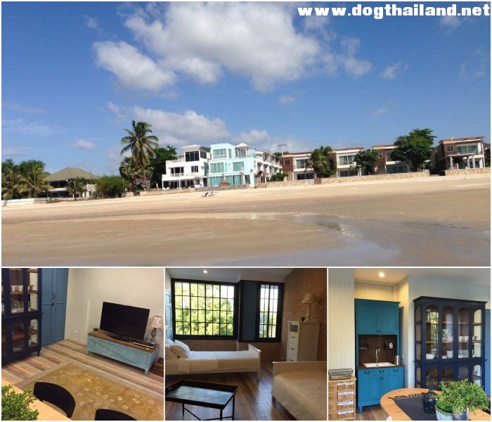 Fio's house by the sea ติดหาดชะอำ สุนัขเข้าพักได้ บ้านพักตากอากาศ