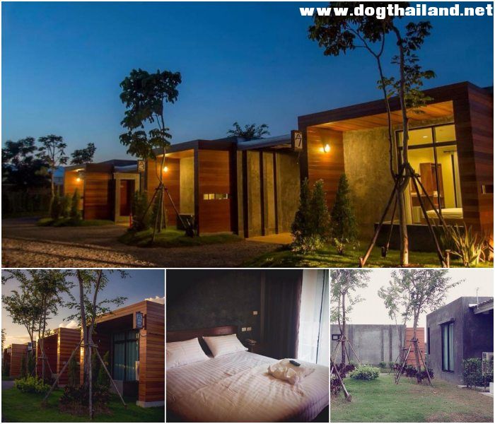 The Infinite Resort น้องหมาพักได้ นครสววรค์ ห่างจากสถานีรถไฟ เพียง 8 กิโลเมตร ราคาหลักร้อย