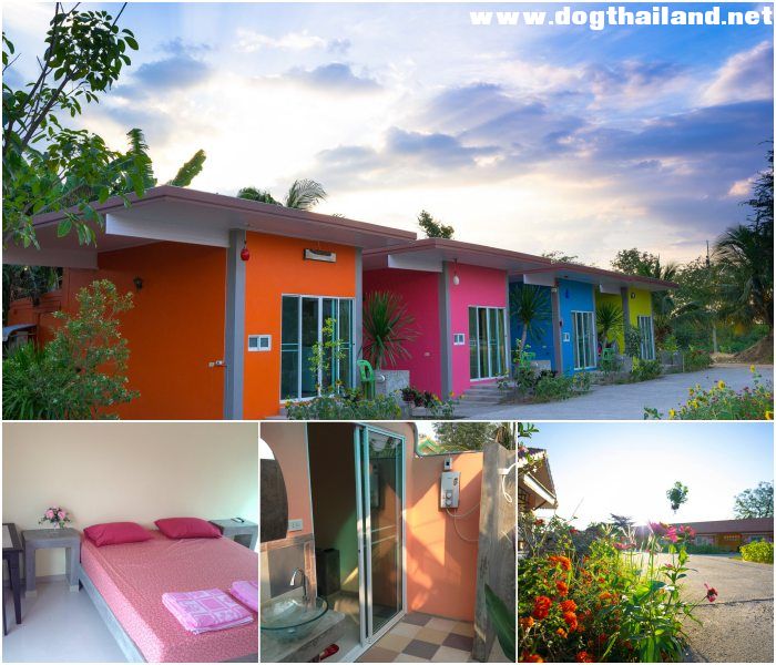 โรงแรมตากฟ้ารีสอร์ท-ปิ่นทอง นครสวรรค์ สุนัขเข้าพักได้ ทุกสายพันธ์ น้องหมาเข้าพักฟรี