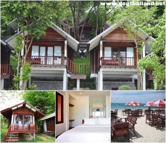 เกาะเสม็ด อ่าวไผ่ ระยอง ทับทิม รีสอร์ท (Tubtim Resort) สุนัขพักได้