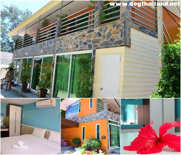 เกาะเสม็ด อ่าววงเดือน ระยอง บลู ดอลฟิน รีสอร์ท (Blue Dolphin Resort)  สุนัขพักได้