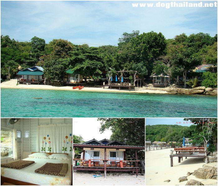 เกาะเสม็ด อ่าวลุงดำ ระยอง เจลลี ฟิช บังกะโล (Jelly Fish Bungalow) สุนัขพักได้ฟรี