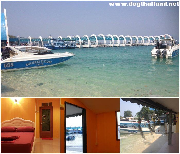 เกาะเสม็ด ระยอง Ma' Samet รีสอร์ท สุนัขเข้าพักได้