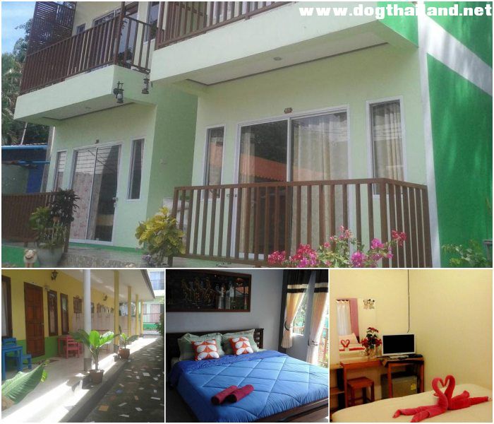 เกาะเสม็ด ระยอง Samed Thanee รีสอร์ท สุนัขพักได้