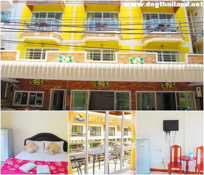 บางแสน ชลบุรี "แจ๋ว เกสท์เฮาส์ (Jaew Guesthouse) " สุนัขพักได้