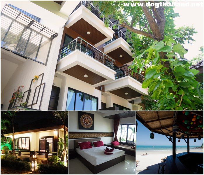 เกาะเสม็ด อ่าวไผ่ ระยอง ซิลเวอร์ แซนด์ (Silver Sand Hotel) สุนัขพักได้