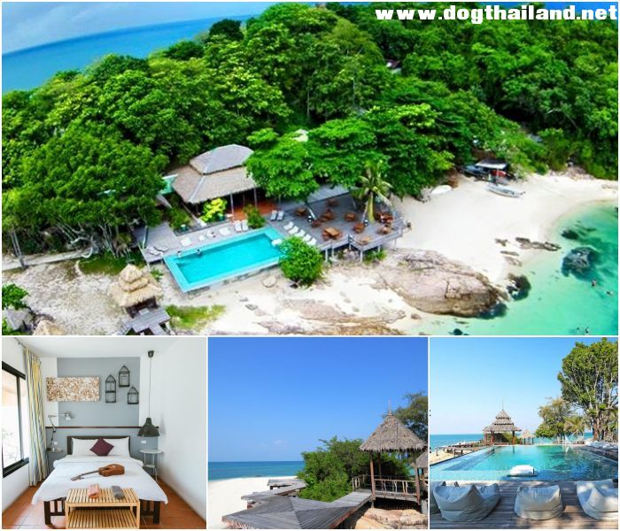 เกาะมันนอก ระยอง โรงแรมเกาะมันนอก ไพรเวท ไอซ์แลนด์ บาย เอพิคูเรียน ไลฟ์สไตล์ สุนัขพักได้