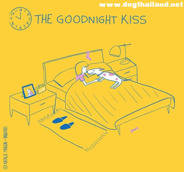 10 ภาพสะท้อนชีวิตคนเลี้ยงหมา อดยิ้มไม่ได้ ตรงเกินไปไหมเนี่ย ?