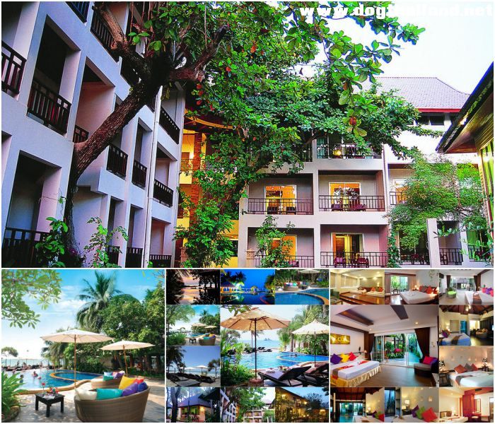 หาดแม่พิมพ์ ระยอง ลมทะเล ชาเลต์ รีสอร์ท (Lomtalay Chalet Resort) สุนัขพักได้