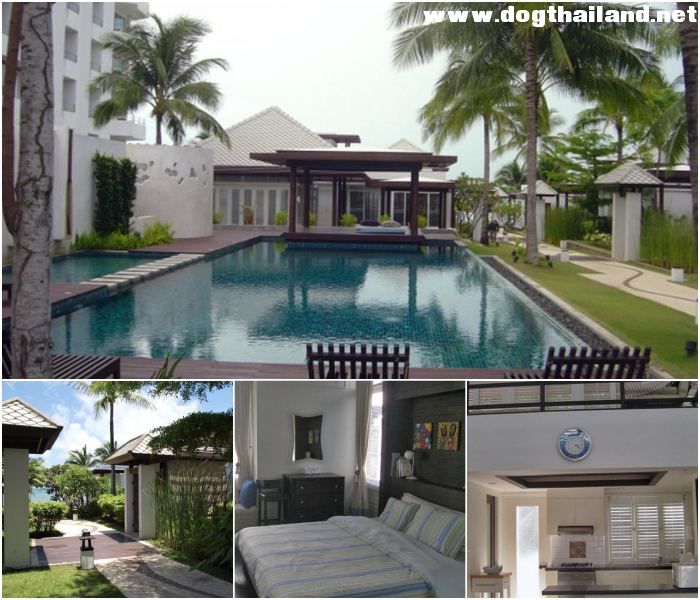 แกลง ระยอง ริมเพ บีชเฮ้าส์ ที่พักระยอง ใกล้หาดสวนสน สัตว์เลี้ยงพักได้