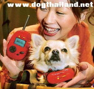 dog-translator-04-300x286.jpg