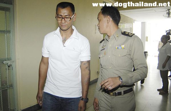 คนรักหมา เฮ !  "ศาลสั่งขัง 2 เดือน เจ้าของร้านข้าวมันไก่ ฆ่า "เจ้าขาว" อย่างโหด