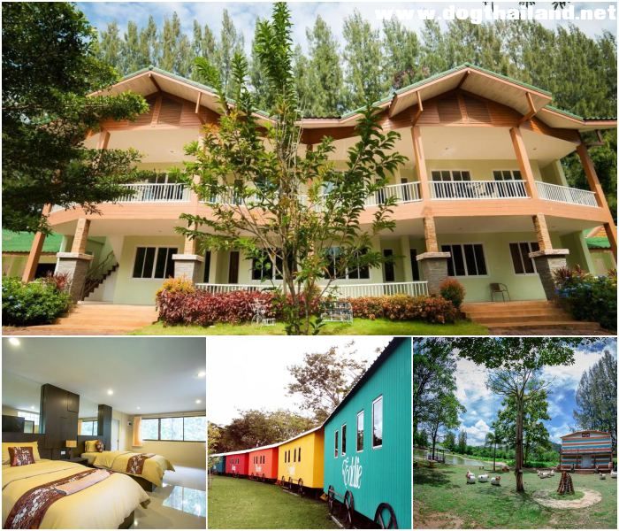 ภูเพชร รีสอร์ท (Phuphet Resort) รีสอร์ท เขาใหญ่ สุนัขพักได้ ไม่คิดค่าน้องหมา หมาพักฟรี