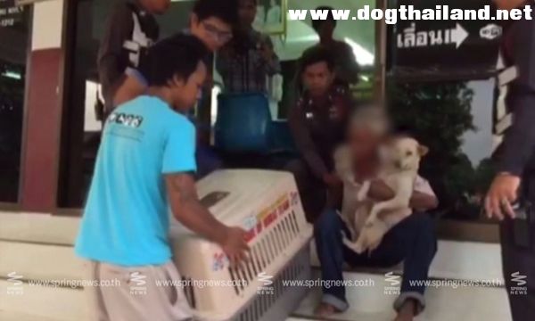 ชาวบ้านแจ้งจับชายเร่ร่อนสติไม่ดีวัย 60 ทารุณหมา-ข่มขืนหมา ทยอยตายทีละตัว นานนับปี