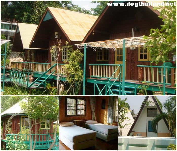 แซมส์ เฮาส์ เกสท์เฮาส์ (Sam's House Guesthouse) สุนัขพักได้ ฟรี ในตัวเมืองกาญจนบุรี  ราคาหลักร้อย