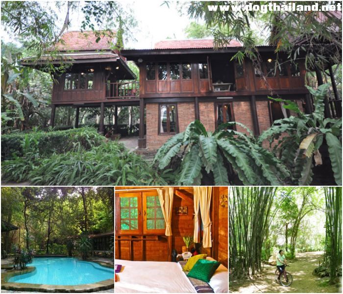 โรงแรมหม่อมไฉไล กาญจนบุรี ฟอเรสต์ รีทรีท ใกล้ น้ำตกไทรโยค กาญจนบุรี สุนัขพักฟรี