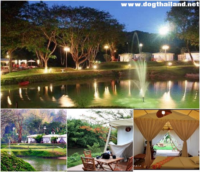 บุรีธารา รีสอร์ท แอนด์ สปา (Buritara Resort & Spa) ไทรโยค ใกล้แม่น้ำแควน้อย กาญจนบุรี สุนัขพักฟรี