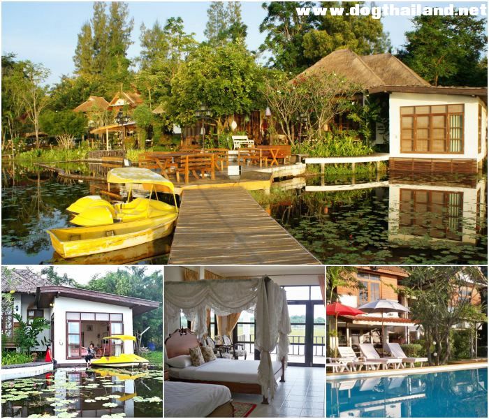 โกลเด้น เลควิว บูติก รีสอร์ท (Golden Lake View Boutique Resort) รีสอร์ท สุนัขพักฟรี กาญจบุรี