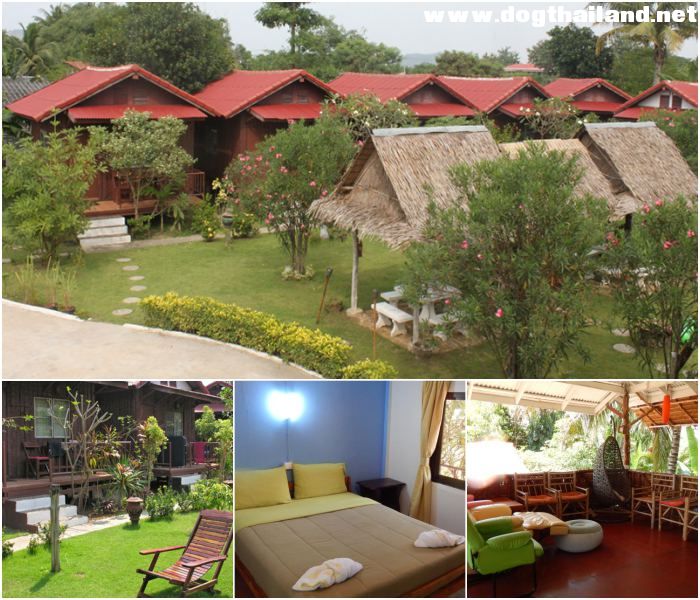 ไทย การ์เดน อินน์ (Thai Garden Inn) สุนัขพักได้ ฟรี ไม่ไกลจากตัวเมือง กาญจนบุรี