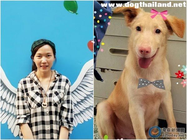 ผอ.สาว ศูนย์พักพิงสัตว์ฆ่าตัวตาย หลังเศร้าหนักรู้สึกผิด จำต้องปลิดชีพสุนัขนับร้อยโดนประนาม นักฆ่าหมาหน้าสวย