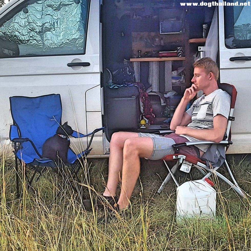 ทาสแมว หนุ่มลาออกจากงาน ขายทุกอย่างเพื่อจะพาแมวตัวโปรดเที่ยวไปทั่วออสเตรเลีย!!