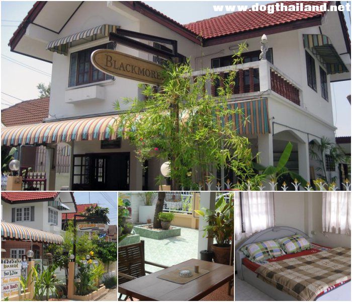 ศรีกรุง เกสต์เฮาส์ (Sri Krung Guest House) ที่พัก สุนัขพักได้ ในเมือง อยุธยา