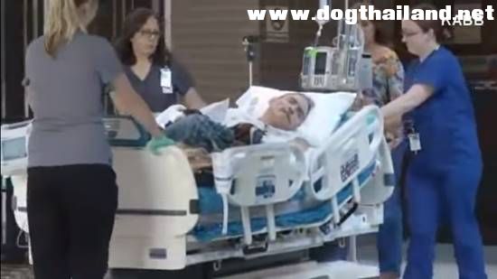 อำลาเป็นครั้งสุดท้าย คลิปซึ้งทหารผ่านศึกป่วยหนักพบหน้าม้าแสนรักเป็นครั้งสุดท้าย บอกลาก่อนสิ้นลม