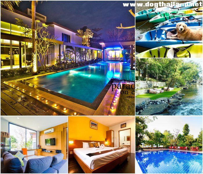 เขาใหญ่ พาราไดซ์ออนเอิร์ท (Khao Yai Paradise on Earth) สุนัขพักได้ บรรยากาศริมน้ำตกเหวสุวัต เขาใหญ่ นครราชสีมา