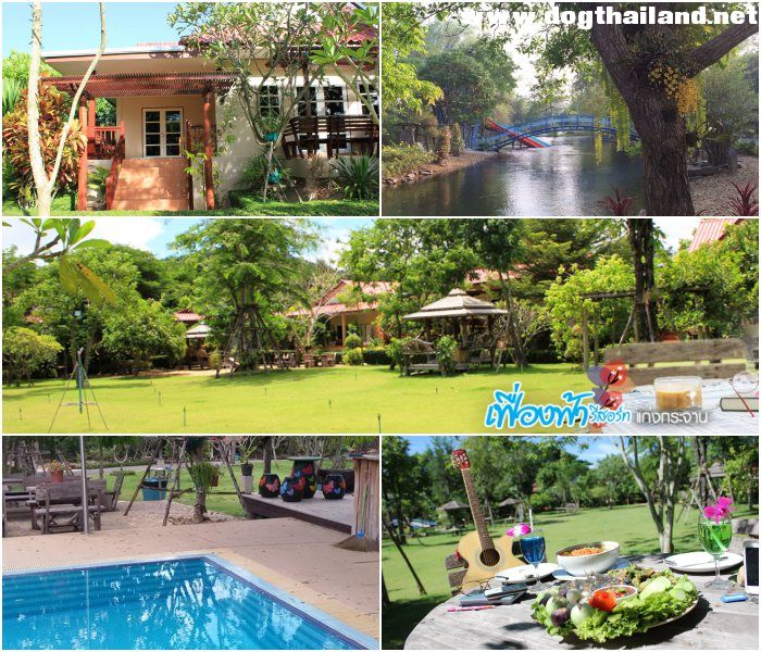 เฟื่องฟ้ารีสอร์ทแก่งกระจาน สุนัขพักได้ ติดริมน้ำ แก่งกระจาน เพชรบุรี