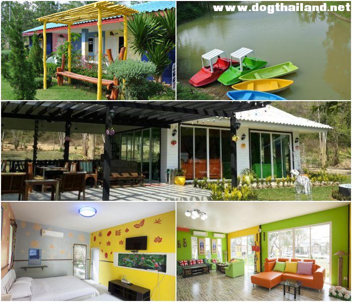 ไร่สุขแสงจันทร์ รีสอร์ท (Rai Sooksangchan Resort) สุนัขพักได้ ใกล้เขื่อนแก่งกระจาน เพชรบุรี