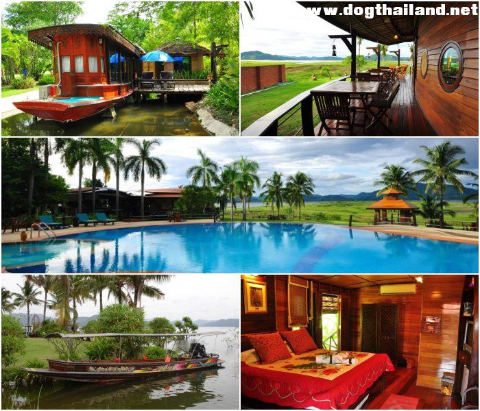 แก่งกระจาน โบ้ทเฮ้าส์ พาราไดซ์ รีสอร์ท สุน้ขพักได้ เห็นวิวอุทยานแห่งชาติแก่งกระจาน เพชรบุรี