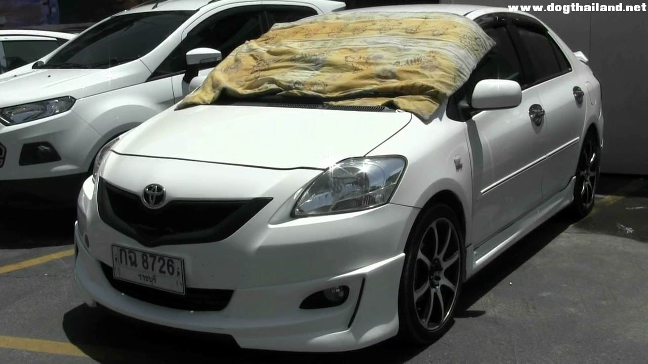 เจอตัวแล้ว!! เจ้าของหนุ่มใจร้ายทิ้งน้องหมา 2 ตัวในรถ กลางแดดร้อน ยันเรารักกันดี วอนชาวเน็ตหยุดเผือก!!ได้แล้ว (มีภาพ)