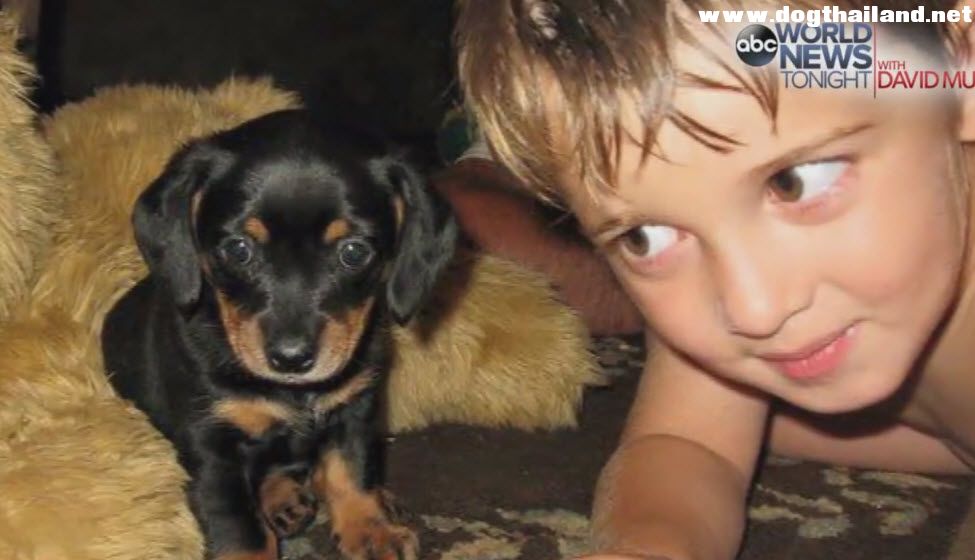 คลิปดัง เด็กชายแอบลอบเข้ามา “กอดสุนัขที่บ้าน” จนโด่งดังทั่วโลกออนไลน์ เหตุเคยสูญเสียหมาสุดรักไปเลยคิดถึง