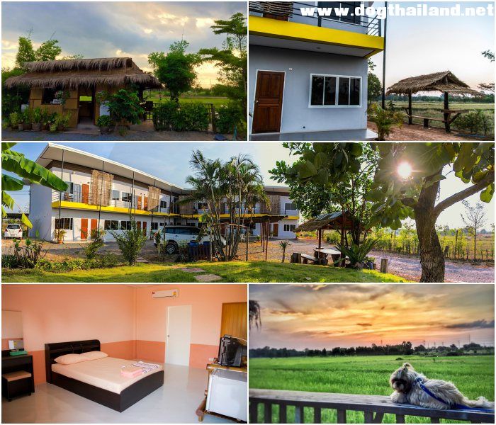 เรือนบุญมา กบินทร์บุรี ปราจีนบุรี รีสอร์ท สุนัขพักได้ วิวทุ่งนา