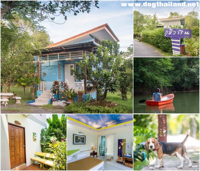 ภูมิวาริน รีสอร์ท (Poomvarin Resort) ที่พักริมน้ำ นครนายก สุนัขพักได้ ใกล้น้ำตกวังตะไคร้