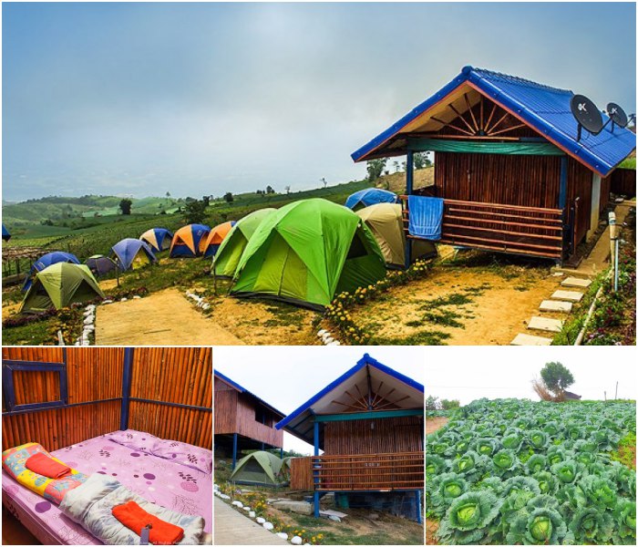 ไร่ต้นมุข รีสอร์ท ที่พักภูทับเบิก สุนัขพักได้ เพชรบูรณ์ ราคาหลักร้อย