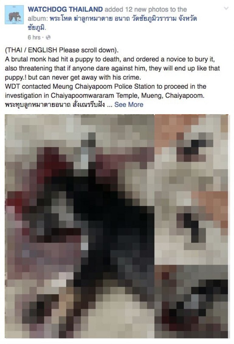 สุดโหด ลูกหมาจรจัดถูกคนร้ายทุบหัวตายอนาถ ในวัดชื่อดังชัยภูมิ คาดว่าเป็นฝีมือ