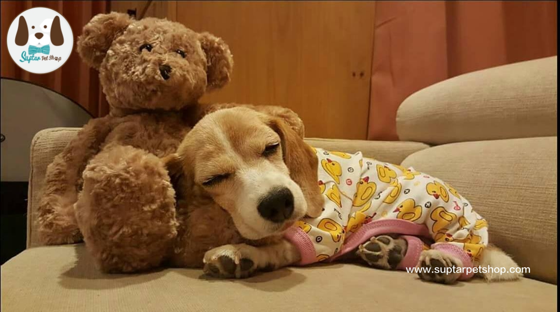 ชุดนอนสุนัข ชุดสี่ขาสุนัข ชุดนอนหมาลายน่ารักๆ ขายส่ง ราคาถูก ผ้านิ่ม